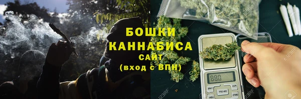 индика Вязники